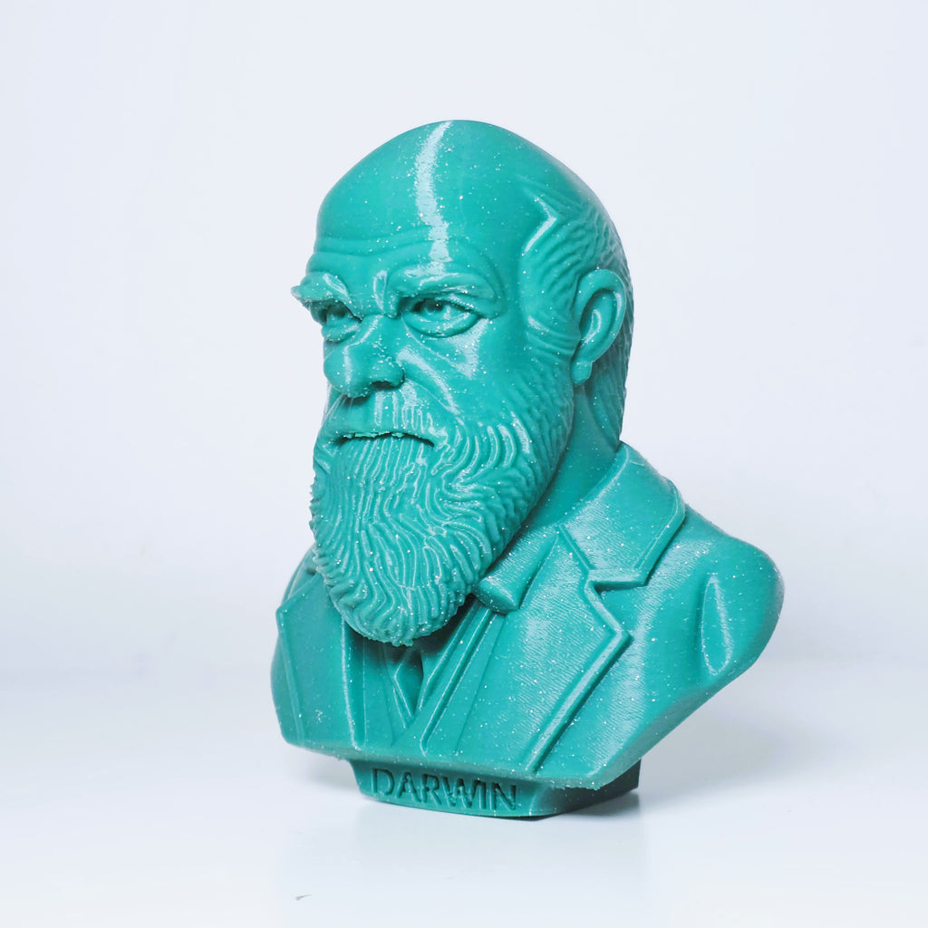 Charles Darwin Büste