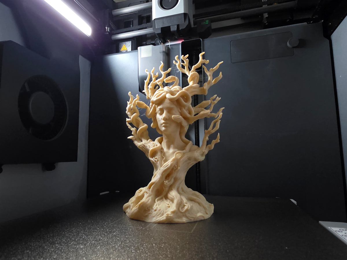 Medusa Baum Skulptur