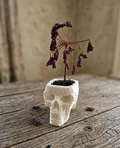 Voxel Totenkopf Pflanztopf