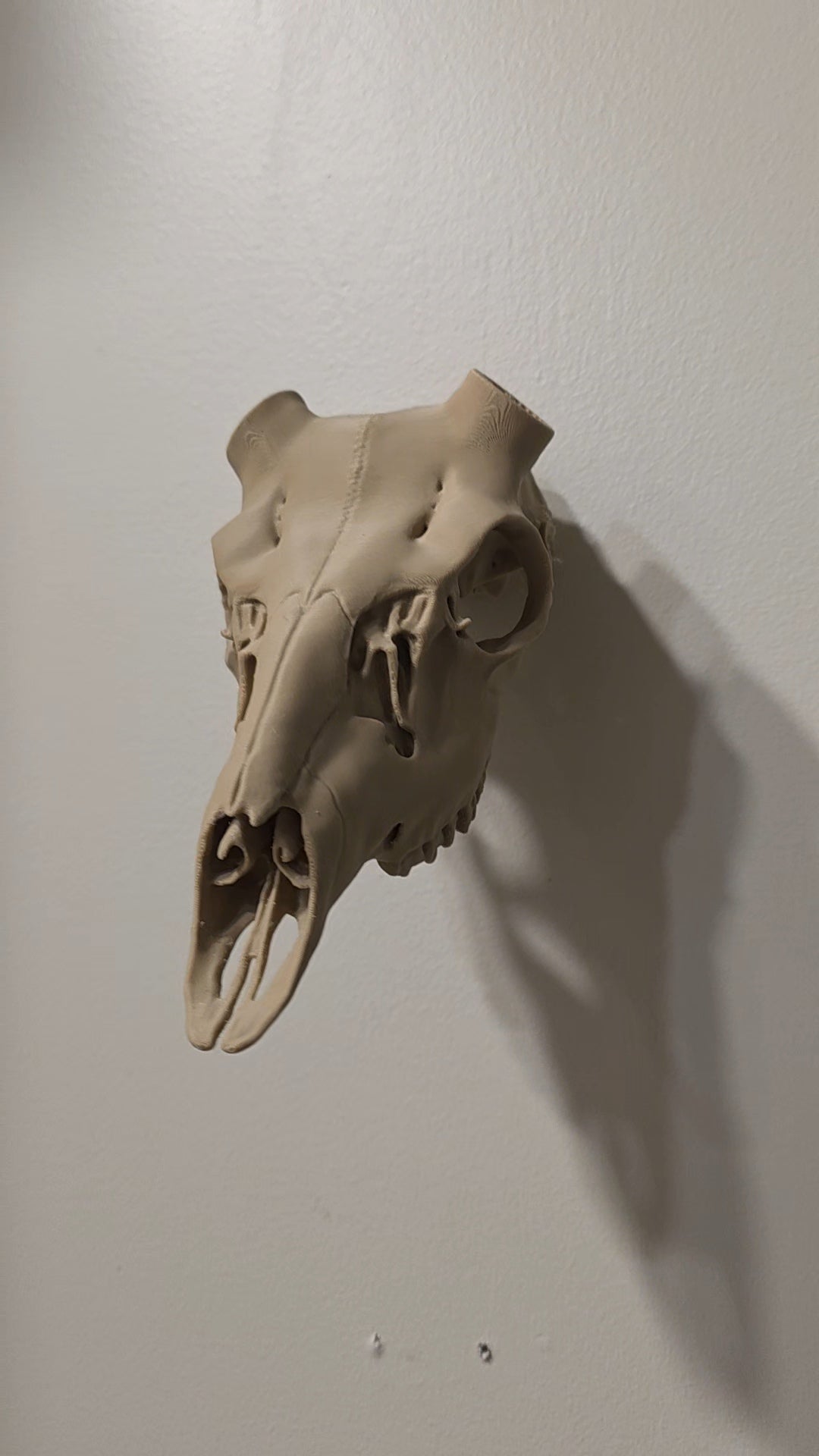 Hirschschädel Replik Wanddeko Variante 39