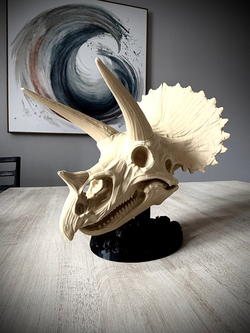 Triceratops Schädel mit Fossil-Ständer