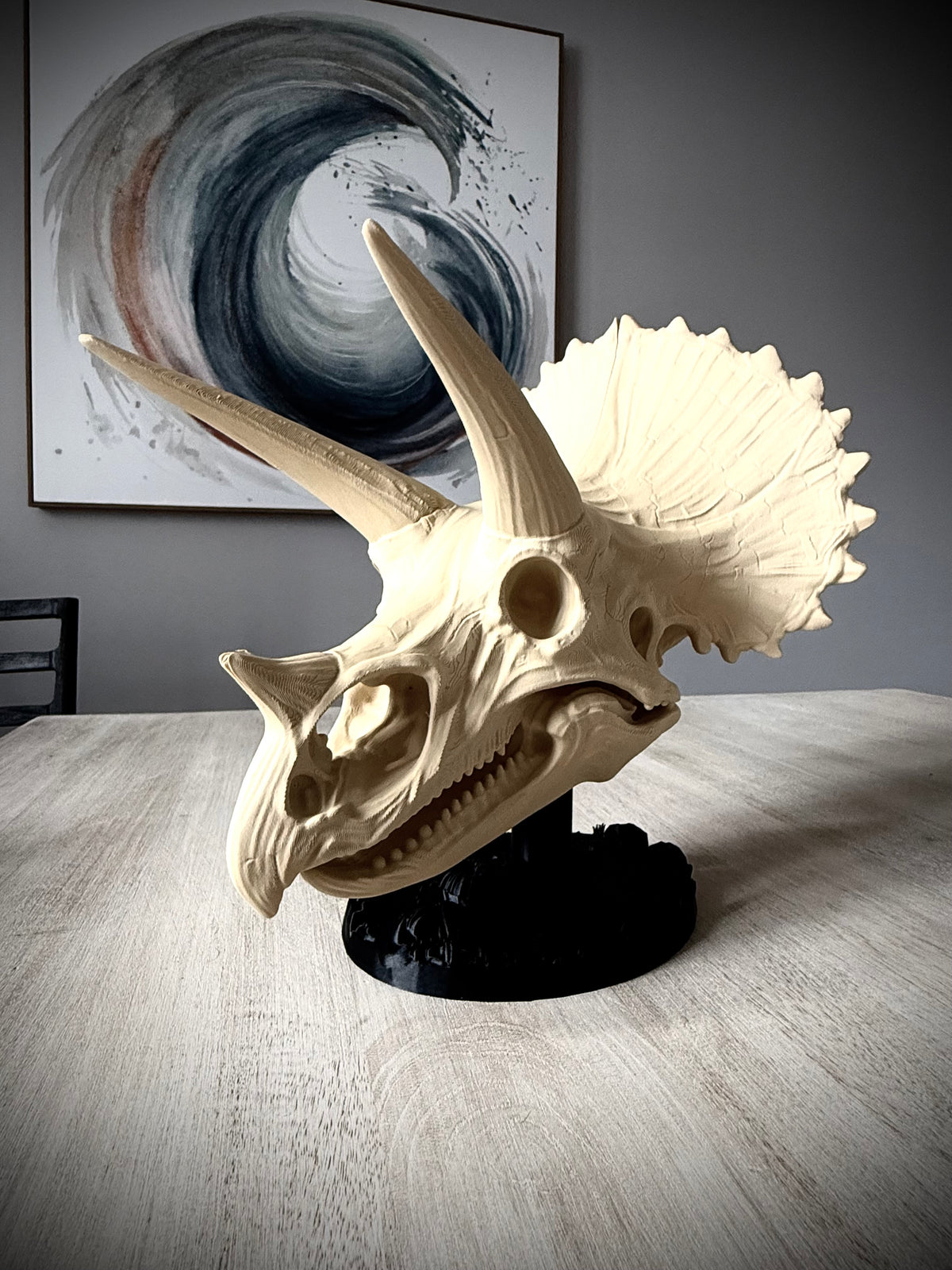 Triceratops Schädel mit Fossil-Ständer