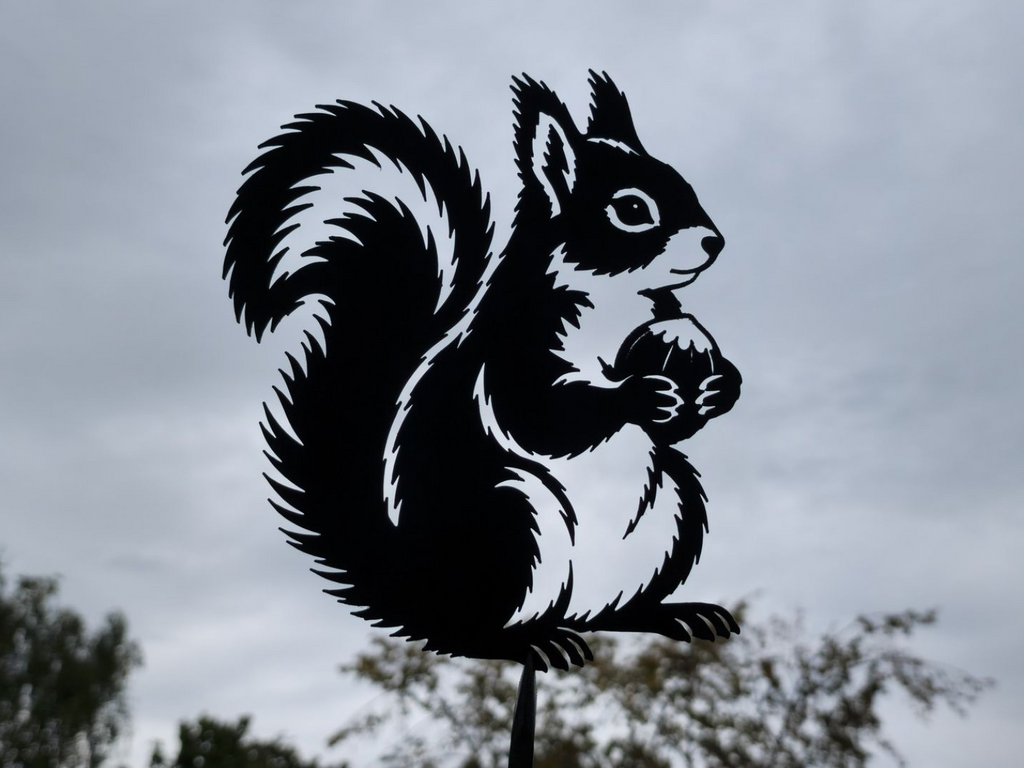 Eichhörnchen mit Eichel Wandkunst Dekor Wandbild Wanddeko Wanddekoration