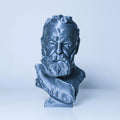 Victor Hugo Büste nach Rodin
