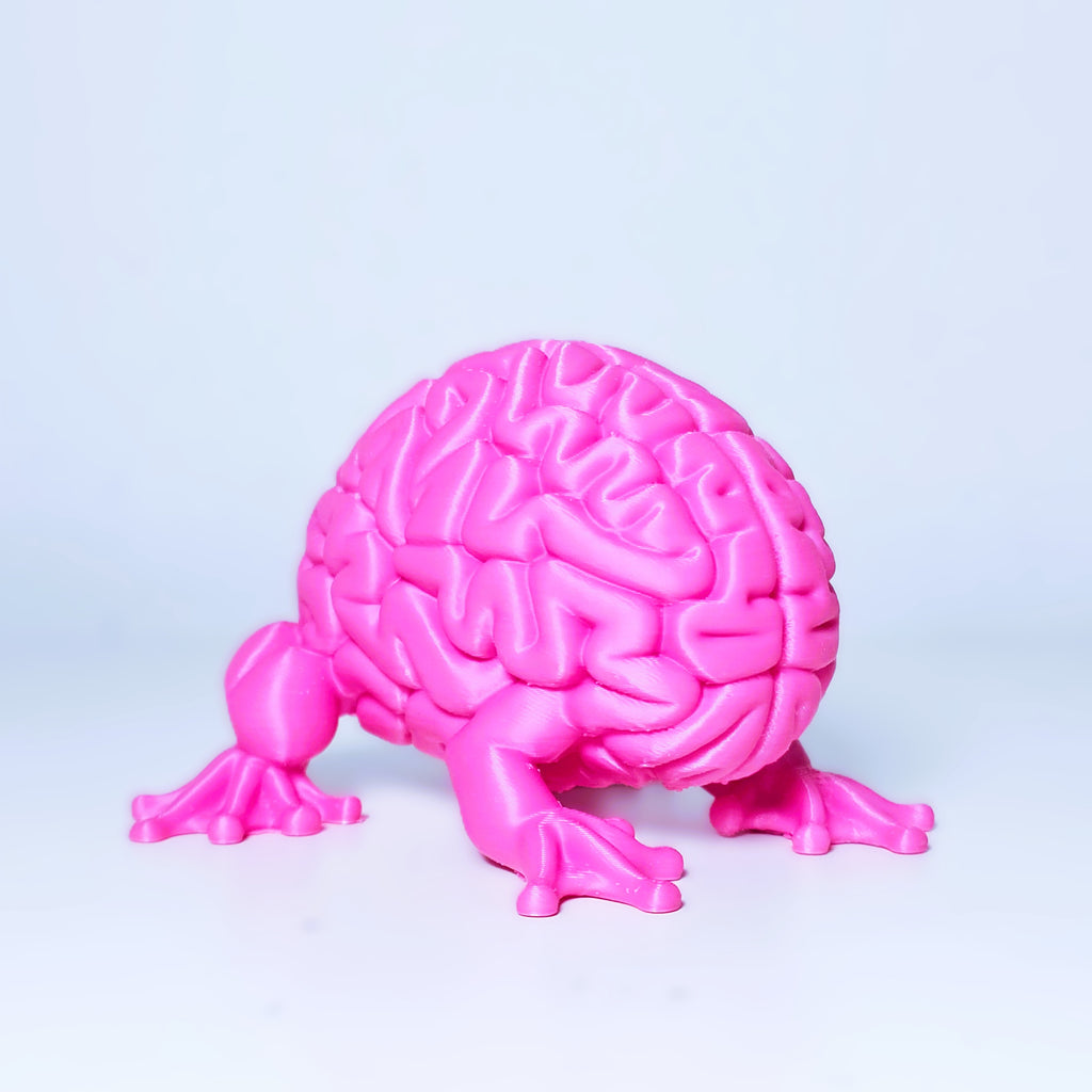 Gehirn Frosch Kreatur Figur