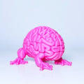 Gehirn Frosch Kreatur Figur