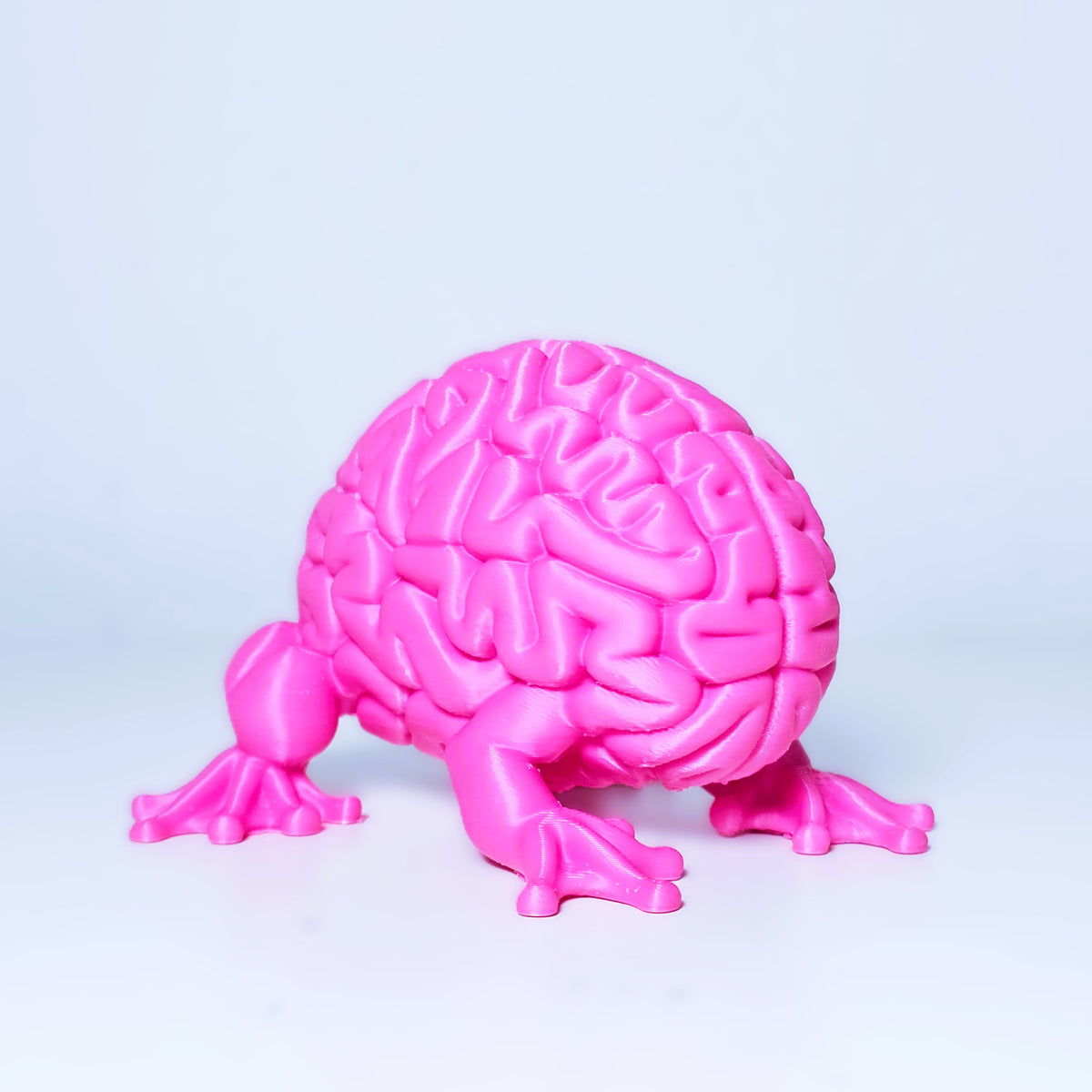 Gehirn Frosch Kreatur Figur