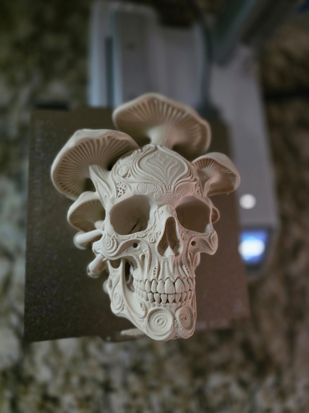 Pilz Totenkopf Wanddeko