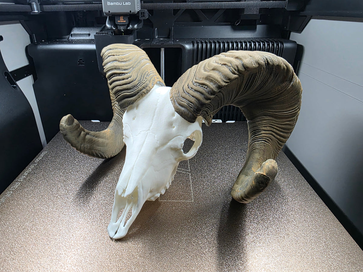 Dickhornschaf Mini Replik