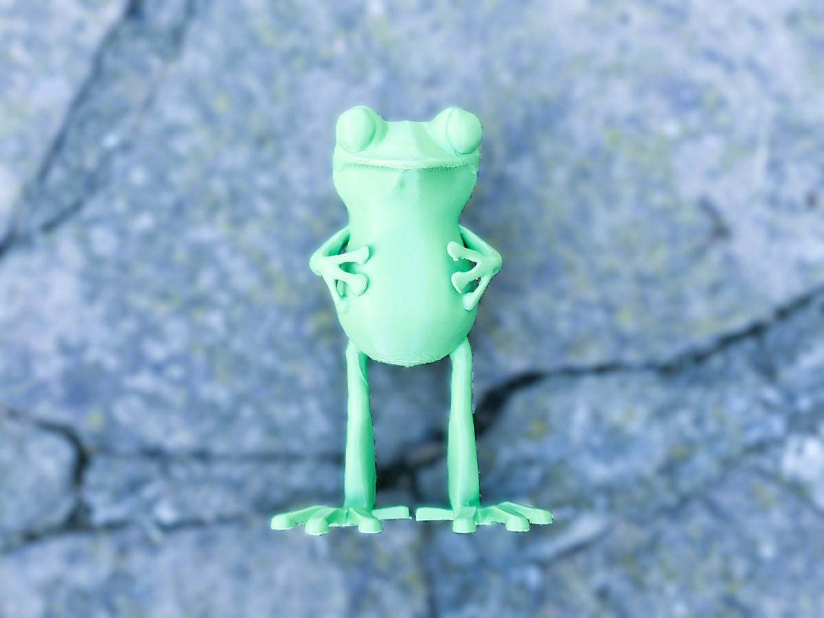 Frosch abstrakt Figur