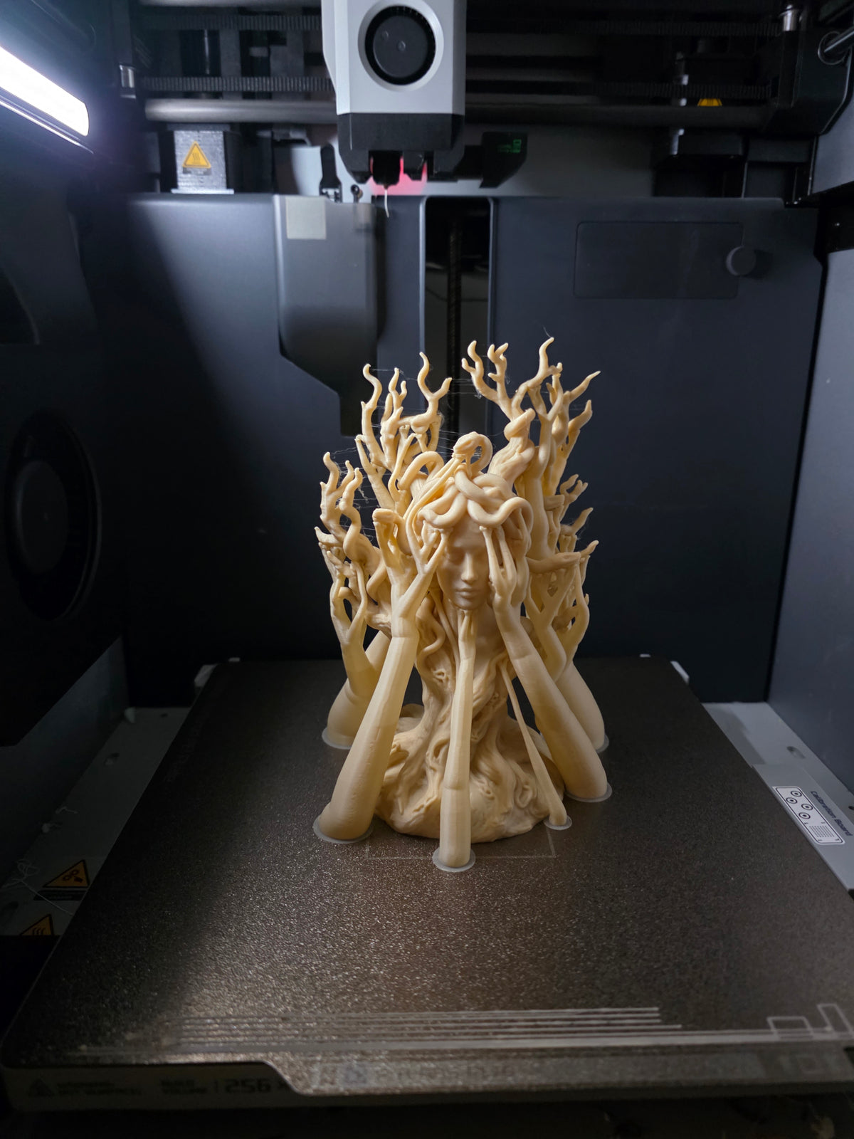 Medusa Baum Skulptur
