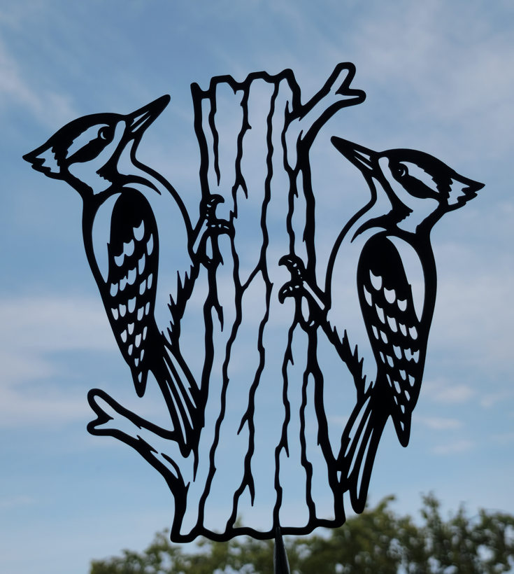 Zwillingsspechte Wandkunst Wandbild Wanddeko Wanddekoration Wohnzimmer