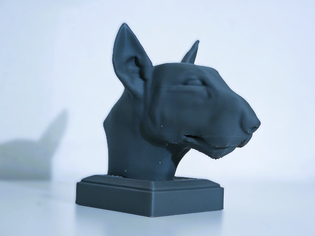 Bullterrier Kopf