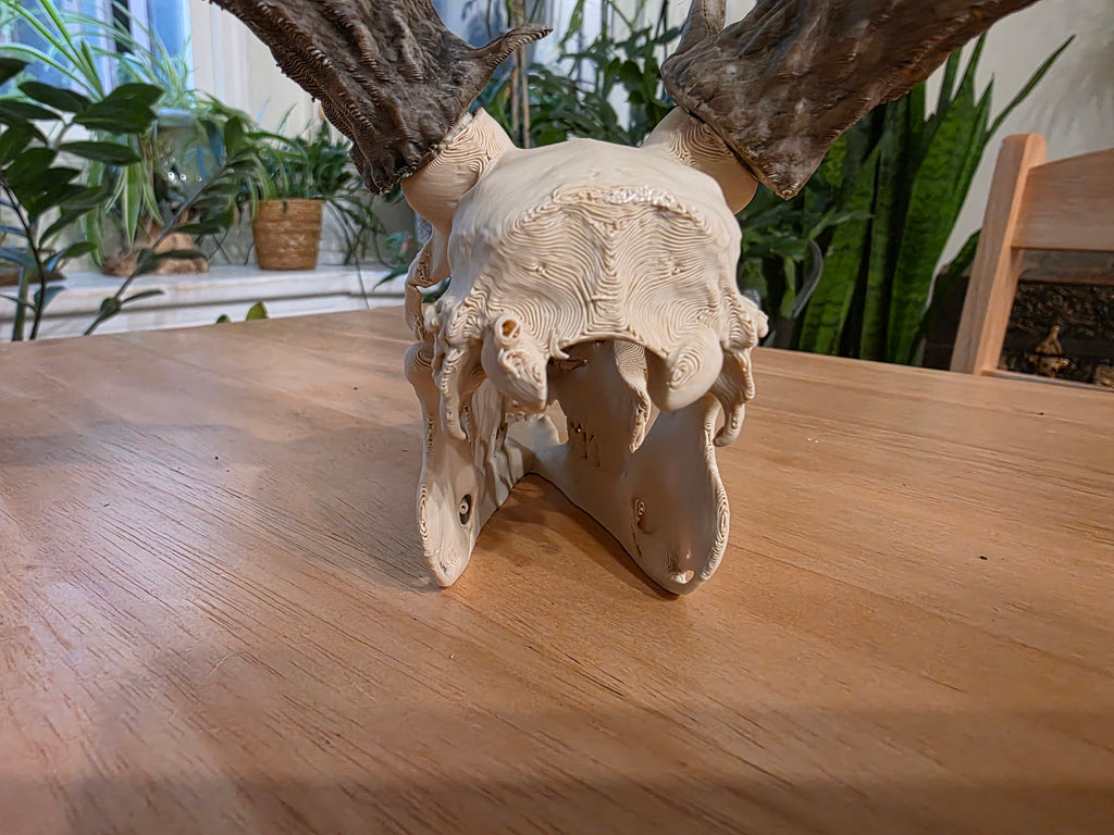 Hirschschädel Replik Wanddeko Variante 47