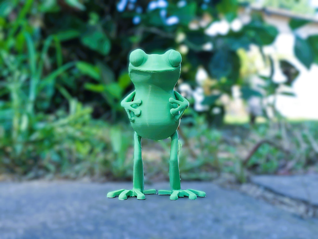 Frosch abstrakt Figur