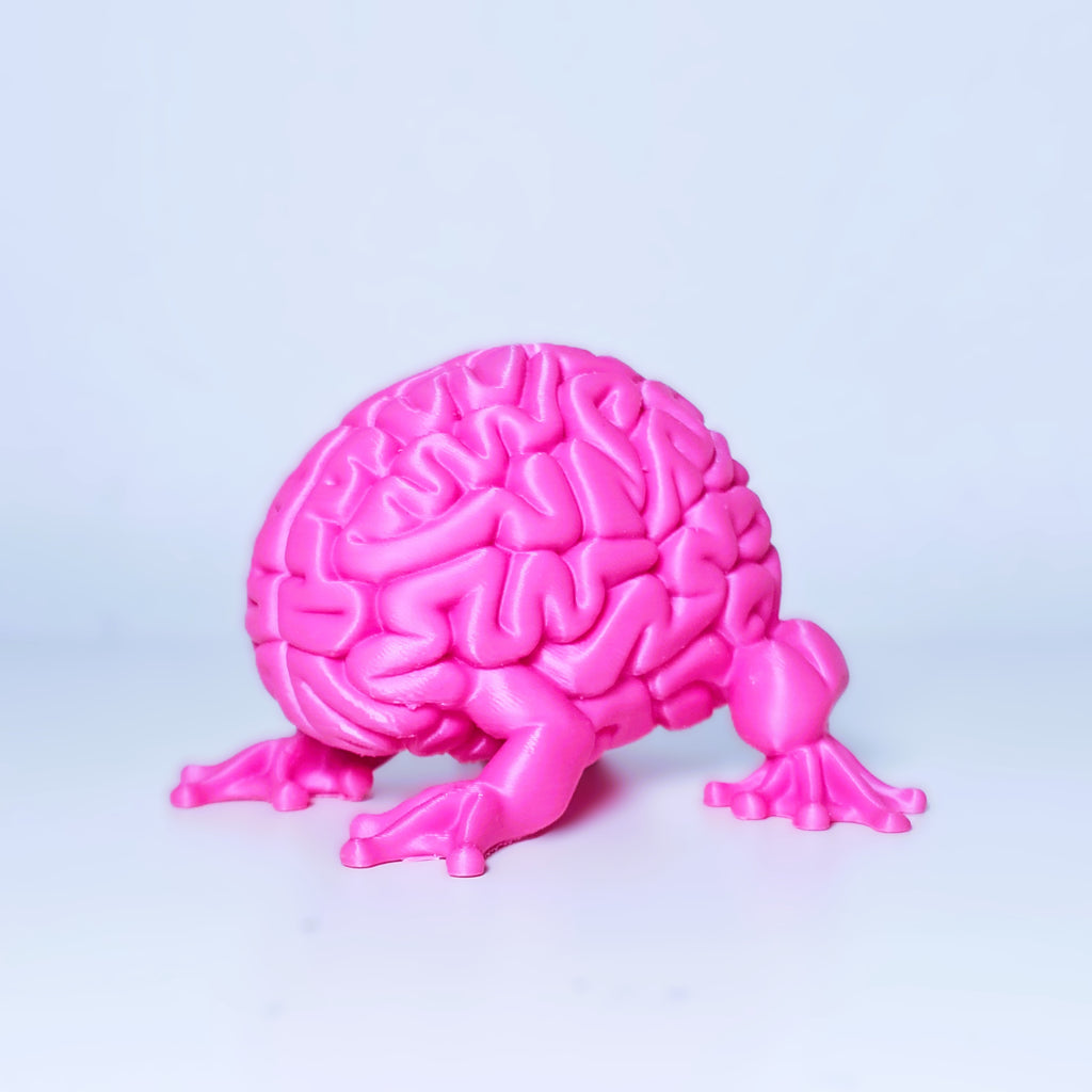 Gehirn Frosch Kreatur Figur