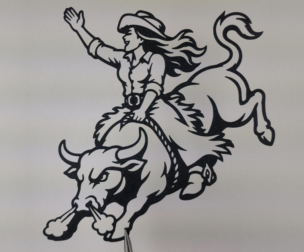 Cowgirl Bull Rider 2D Wandkunst Wandbild Wanddeko Wanddekoration Tierfigur