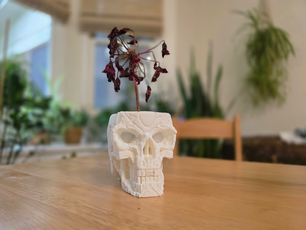 Voxel Totenkopf Pflanztopf