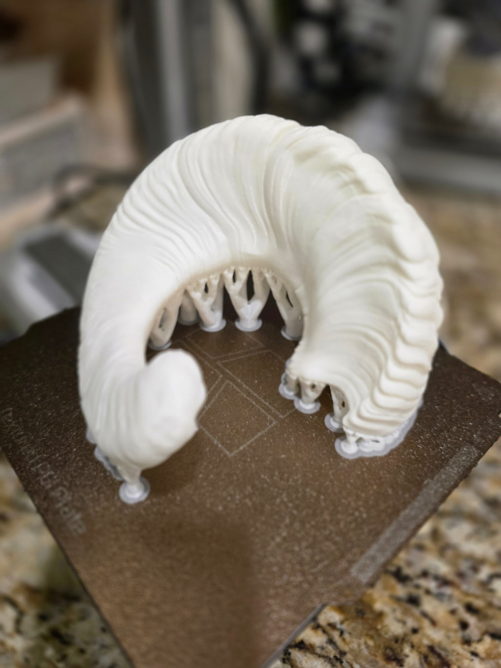 Dickhornschaf Mini Replik