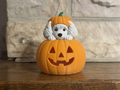 Teelichthalter Kürbis mit Pudel Halloween Deko