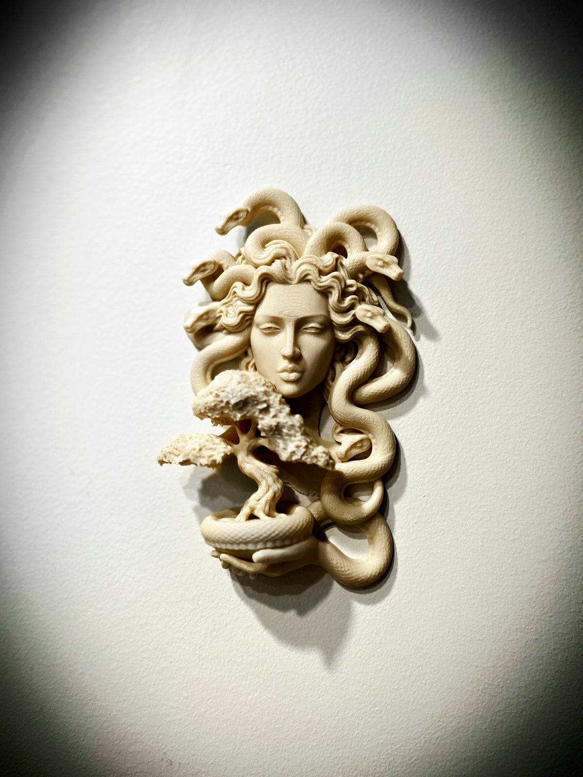 Medusa Bonsai Wanddeko