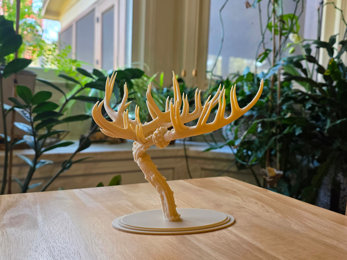 Bonsai Skulptur aus Hirschgeweih