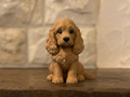 Schlüsselanhänger Cocker Spaniel Taschenanhänger