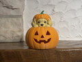 Teelichthalter Kürbis mit Cavalier King Charles Halloween Deko