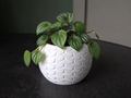 Geometrischer Pflanztopf für Pflanzen Blumentopf Übertopf Weihnachten süß