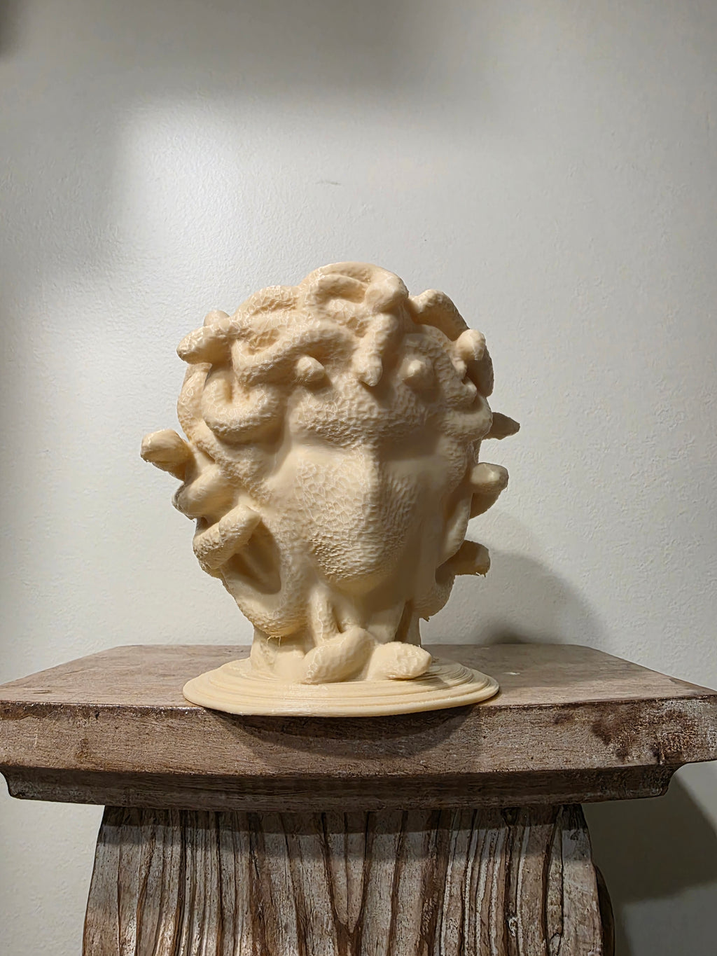 Medusa Pflanztopf minimalistisch