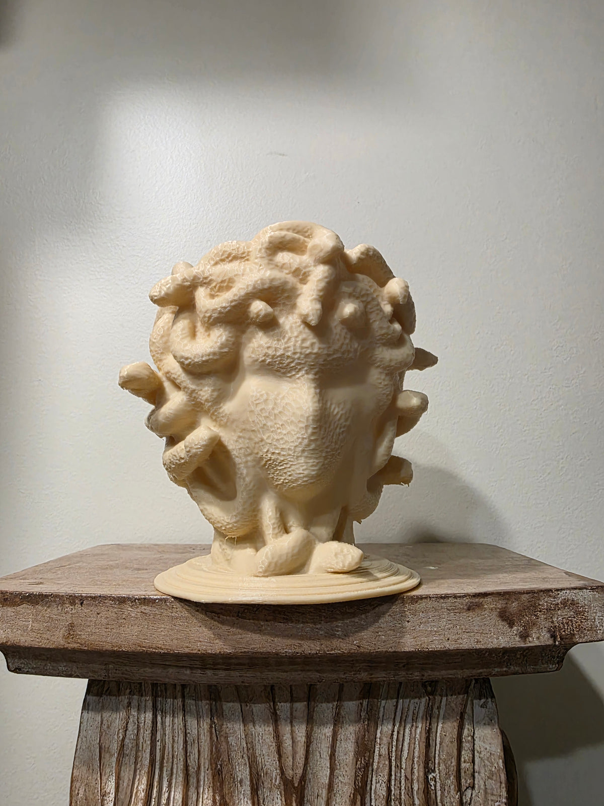 Medusa Pflanztopf minimalistisch