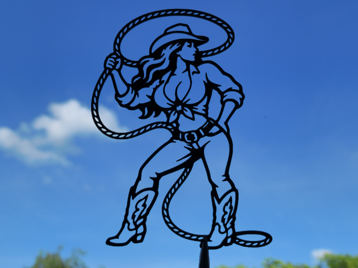 Cowgirl Rodeo 2D Wandkunst Wandbild Wanddeko Wanddekoration Tierfigur Deko