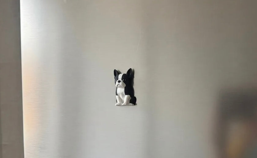 Kühlschrankmagnet Boston Terrier Deko