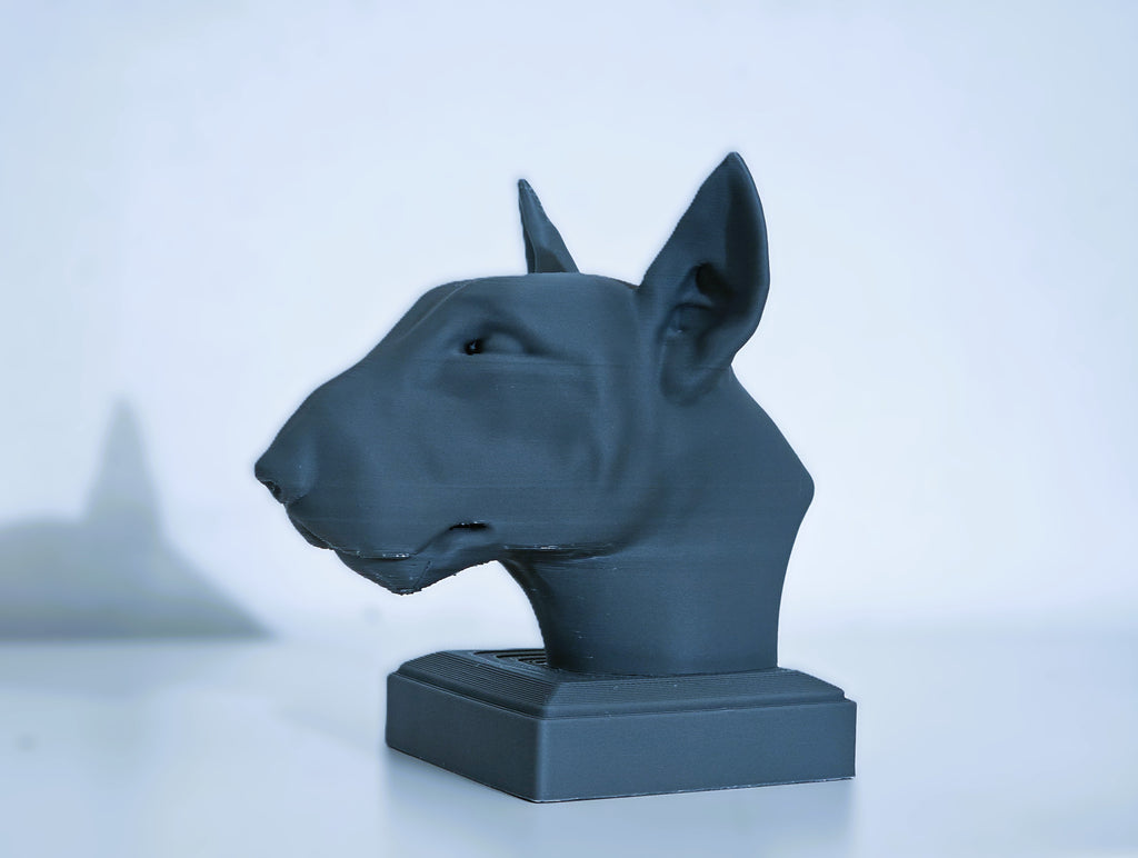 Bullterrier Kopf