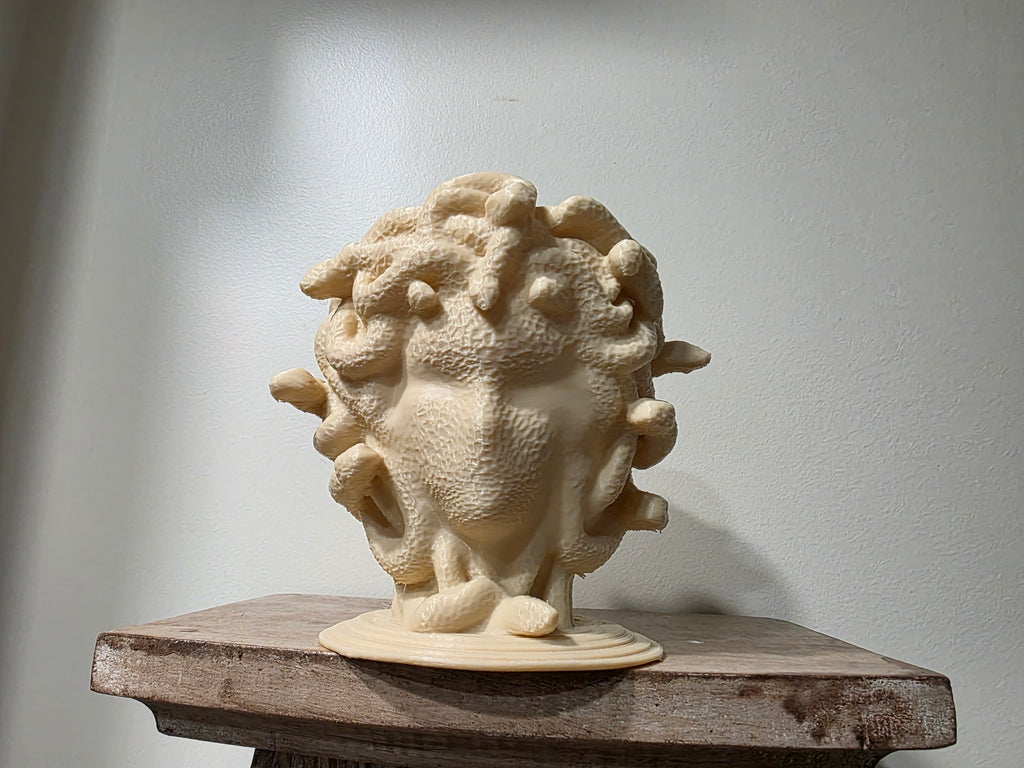 Medusa Pflanztopf minimalistisch