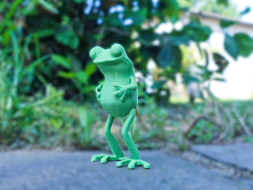 Frosch abstrakt Figur